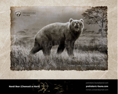 Nandi bear (Chemosit)