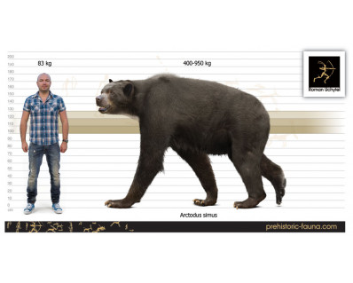 Short-faced bear (Arctodus simus)