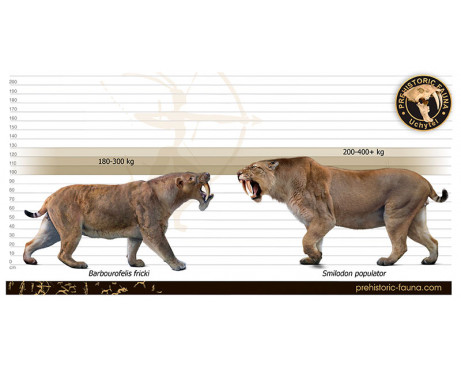 Barbourofelis fricki and Smilodon populator (size comparison)