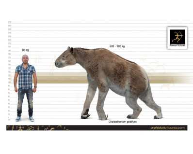 Biggest Prehistoric Mammals of Arica (Carnivore), poster