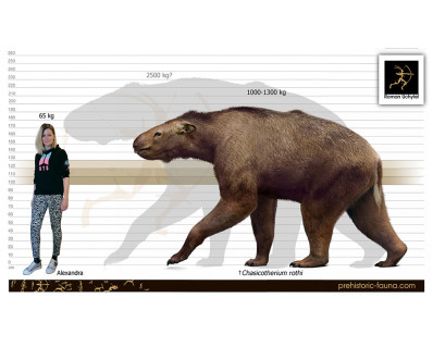 Chasicotherium