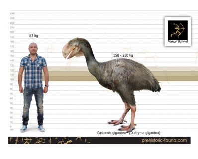 Diatryma (Gastornis gigantea)