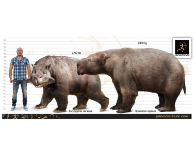 Diprotodon