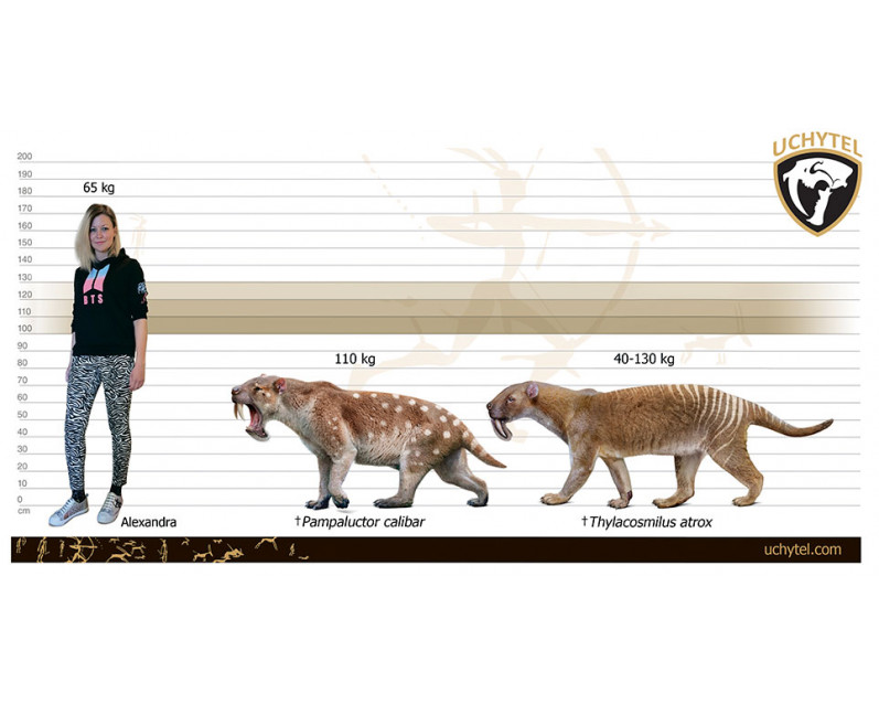 Thylacosmilus (marsupial saber-tooth) Thylacosmilus (marsupial saber-tooth)