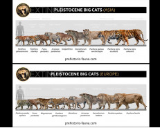 Some Pleistocene predators
