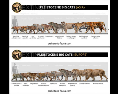 Some Pleistocene predators