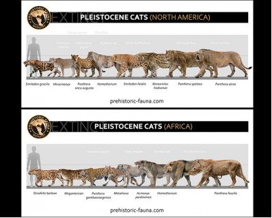 Some Pleistocene predators