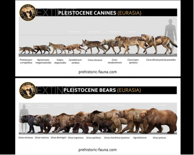 Some Pleistocene predators