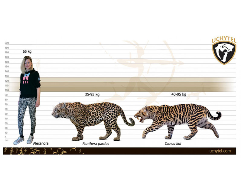 Таову Таову