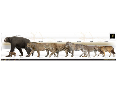 Panthera atrox and Smilodon fatalis