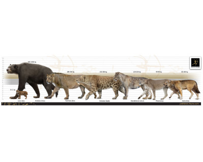 The Extinct Predators of North America (Pleistocene)